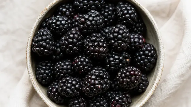 Brombeeren anbauen