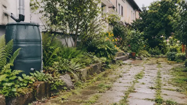 Foerderungen garten 2026