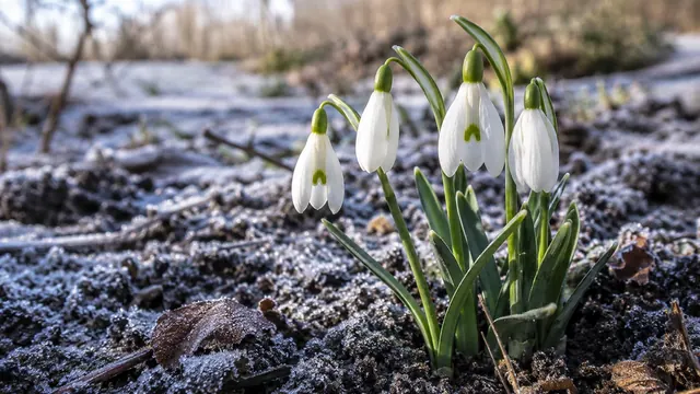 Januar und Februar