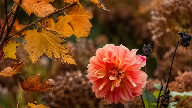 Oktober