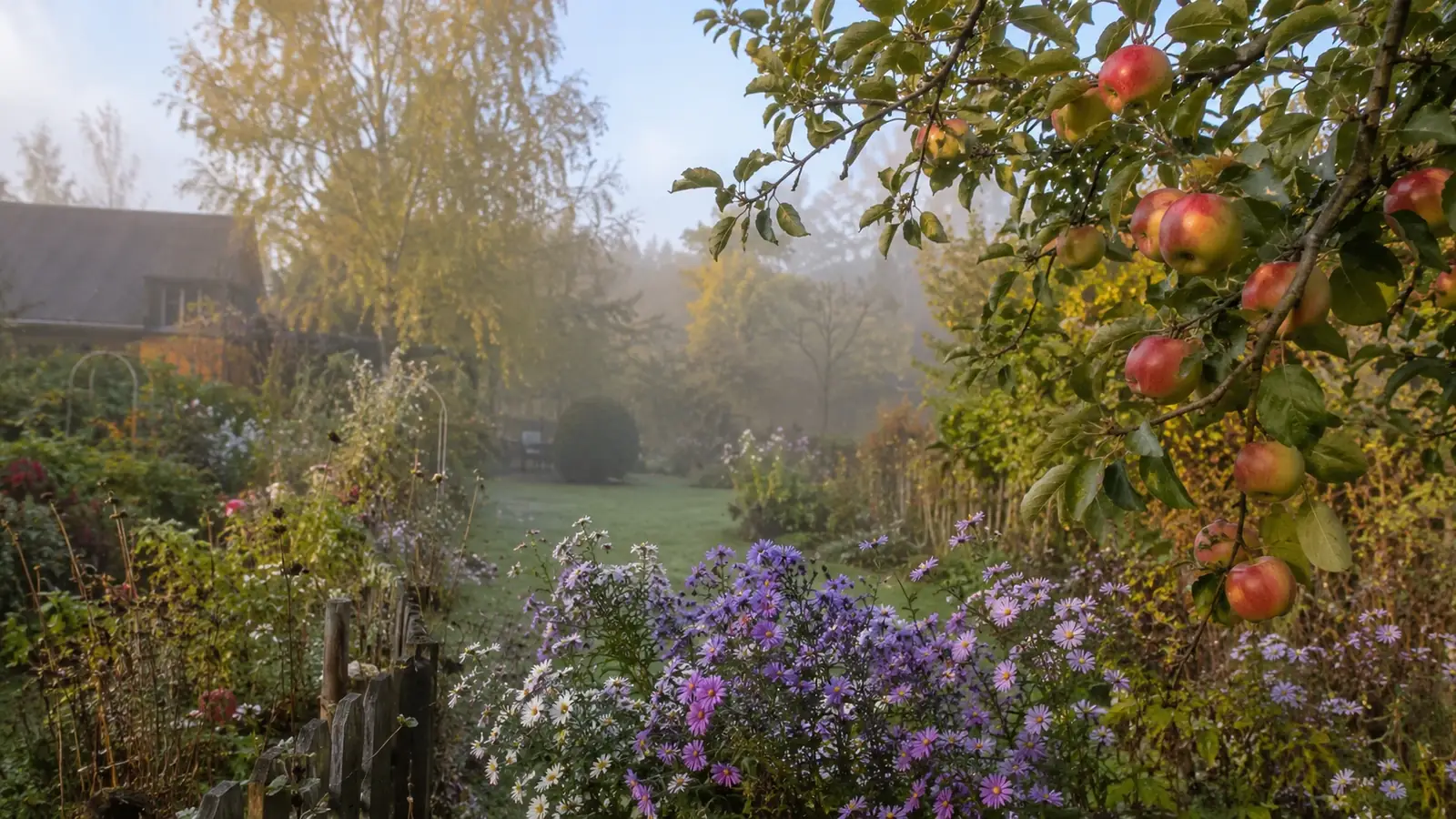 Gartenarbeiten im September
