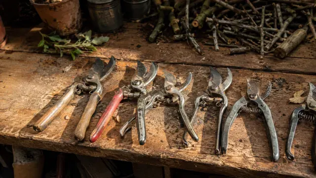Gartenscheren bis 50 €