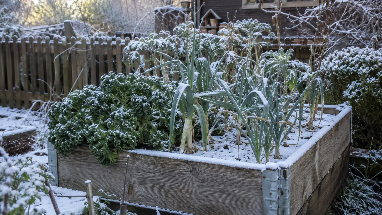 Hochbeet im Winter pflegen im Garten