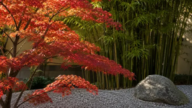 Japanischer Garten