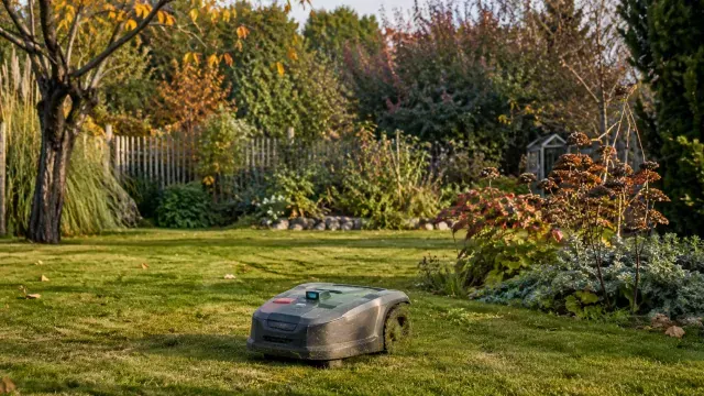 Mein jahr mit maehroboter