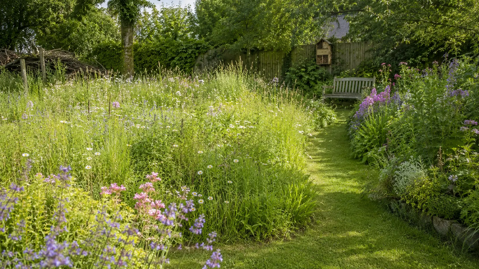 Naturnaher Garten mit Wildblumenwiese und heimischen Gehölzen