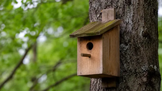 Vogelhäuschen aufstellen